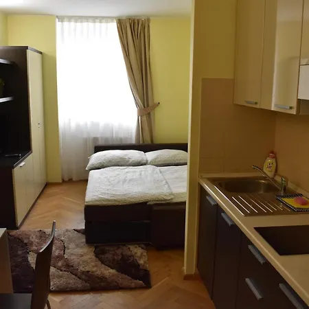 Apartamento Vikroria - Hálkova 5