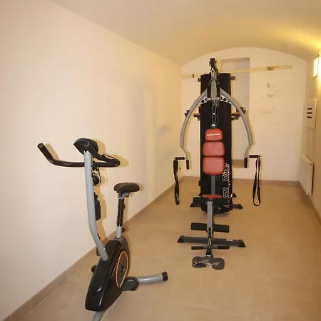 Vikroria - Hálkova 5 Apartamento *
